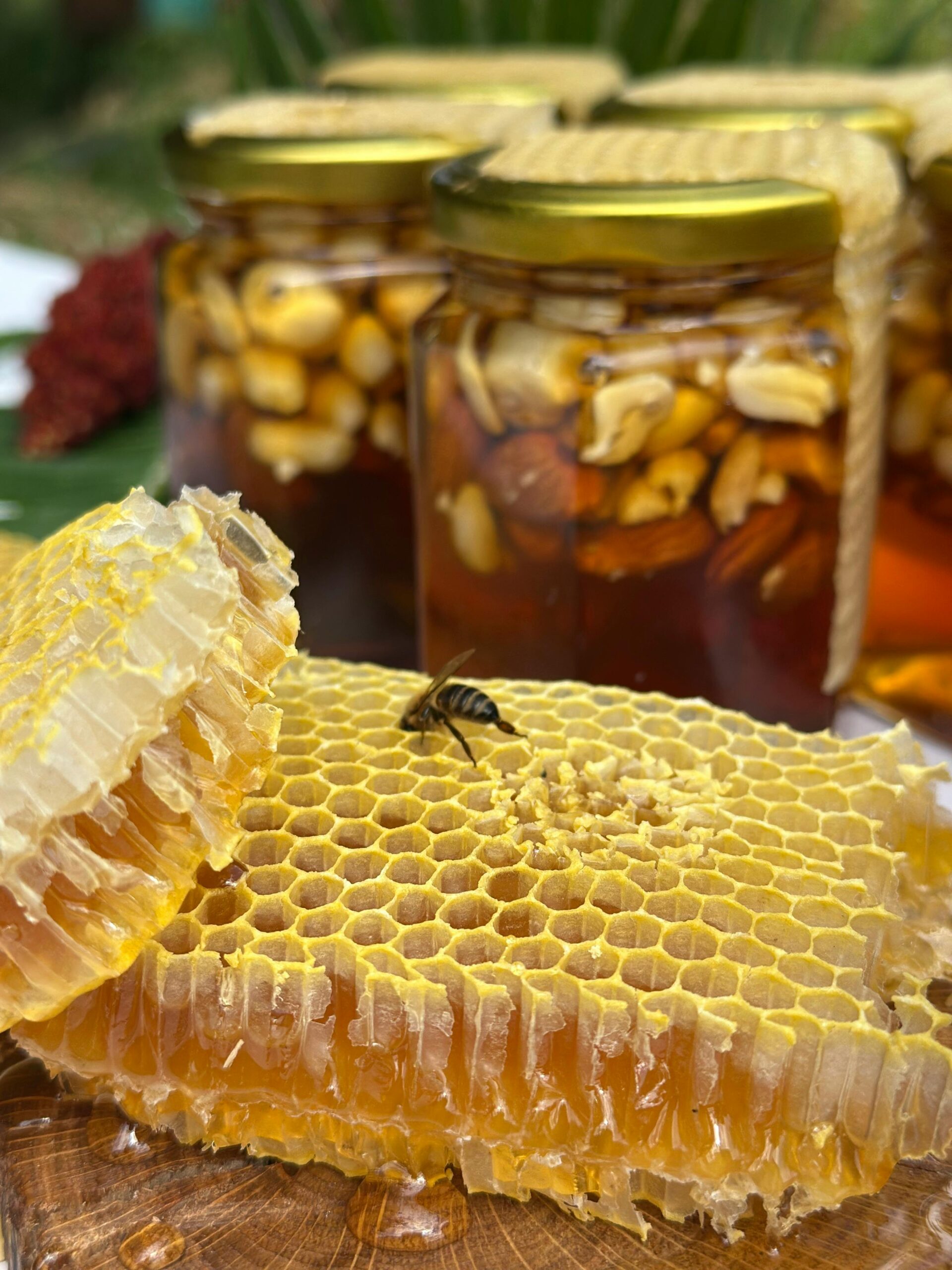 Acacia Honey - Image 2